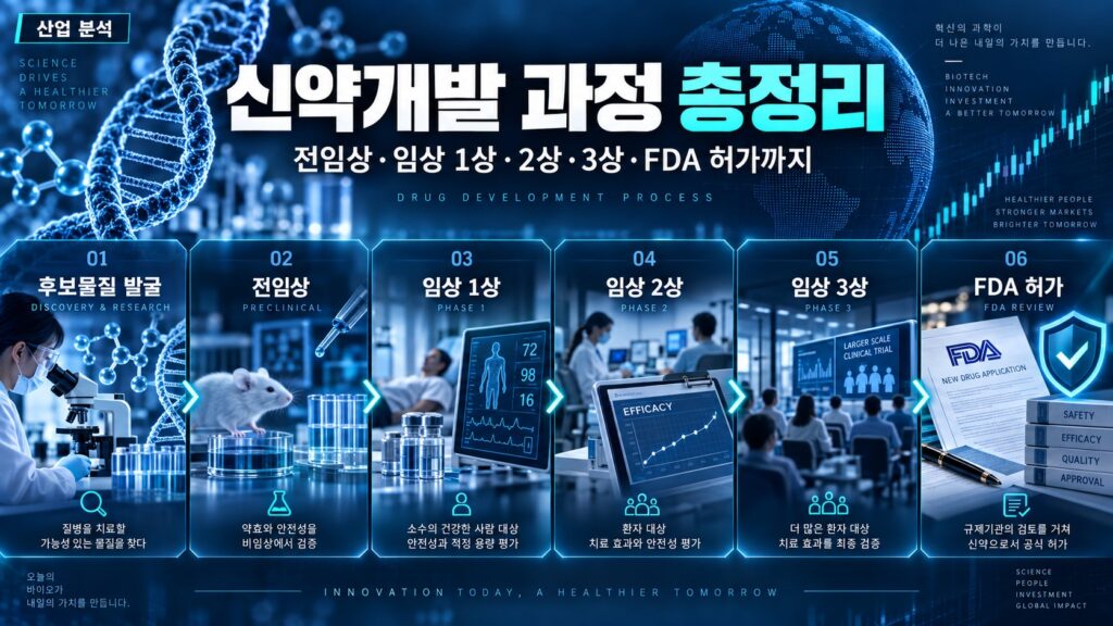 신약개발과정대표이미지